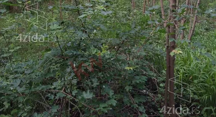 Poljoprivredno zemljište | 4zida