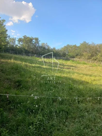 Beli Potok | 4zida.rs