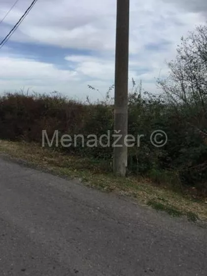 Janka Tešića | 4zida.rs