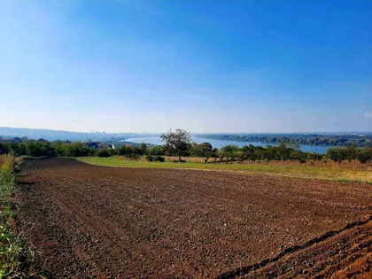 Višnjica | 4zida.rs