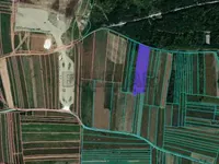 Medoševac, Okolne lokacije, Niš | 4zida.rs