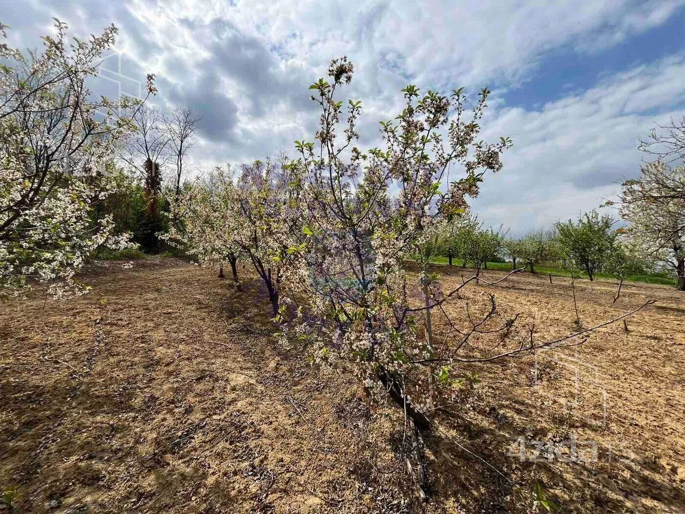 Poljoprivredno zemljište | 4zida