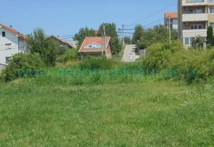 Despotovačka | 4zida.rs