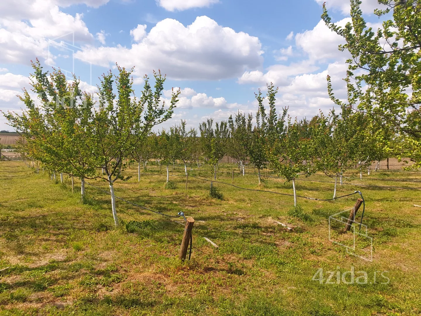 Poljoprivredno zemljište | 4zida