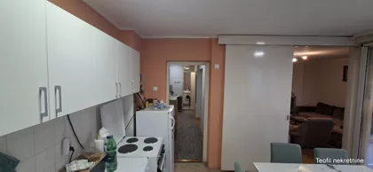 Svetozara Papića | 4zida.rs