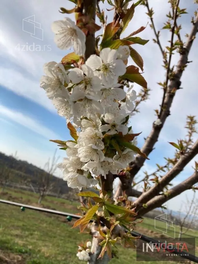 Poljoprivredno zemljište | 4zida