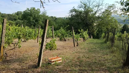 Stari Beogradski Put 88 | 4zida.rs