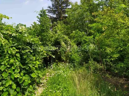 Berkasovo | 4zida.rs