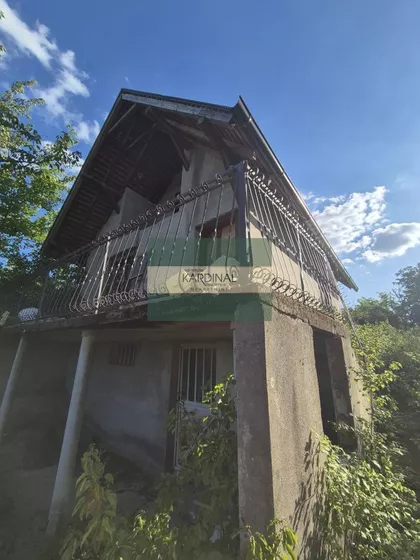 Kolonija | 4zida.rs