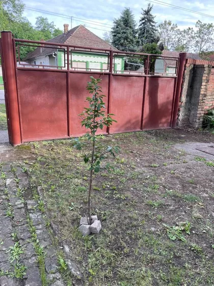 Rusko Selo | 4zida.rs