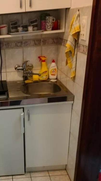 Svetozara Miletića | 4zida.rs