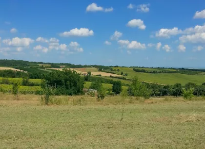 Svetosavska | 4zida.rs
