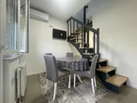 Novi Sad, Gradske lokacije, Detelinara | 4zida.rs | 4zida.rs