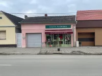 Sremska Mitrovica, Okolne lokacije, Mačvanska Mitrovica | 4zida.rs | 4zida.rs