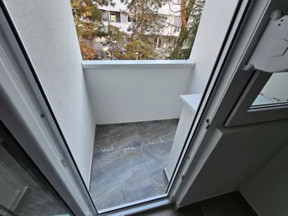 Cara Dušana | 4zida.rs