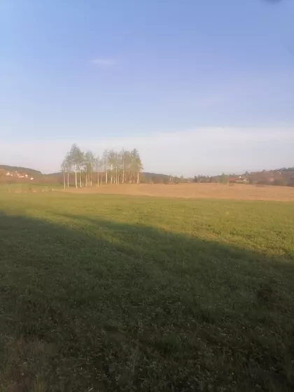 Tarska | 4zida.rs