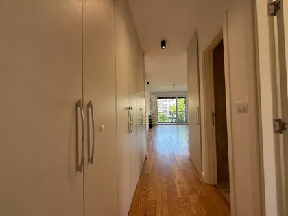 Gospodara Vučića | 4zida.rs