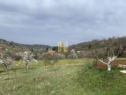 Sremska Kamenica | 4zida.rs