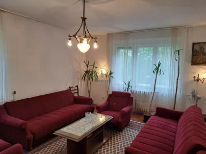 Sanje Živanovića | 4zida.rs