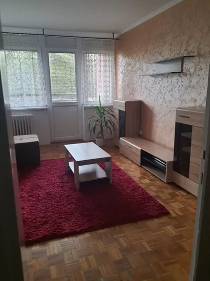 Dr Agostina Neta | 4zida.rs