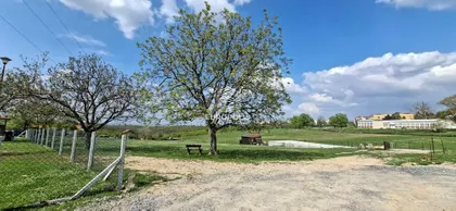 Šumske ekonomije | 4zida.rs