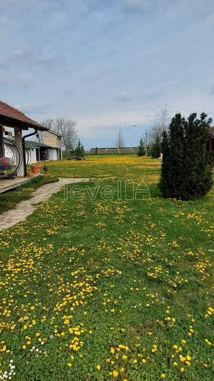 Stepanovićevo | 4zida.rs
