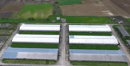 Vitanovac | 4zida.rs