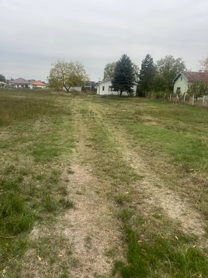 Čenej | 4zida.rs
