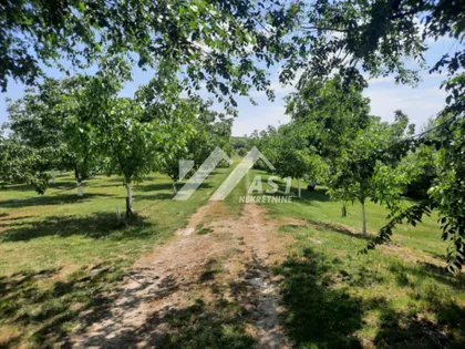 Gradske lokacije | 4zida.rs