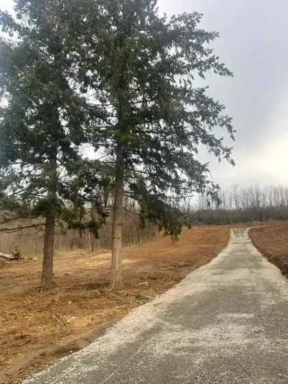 Beogradska | 4zida.rs