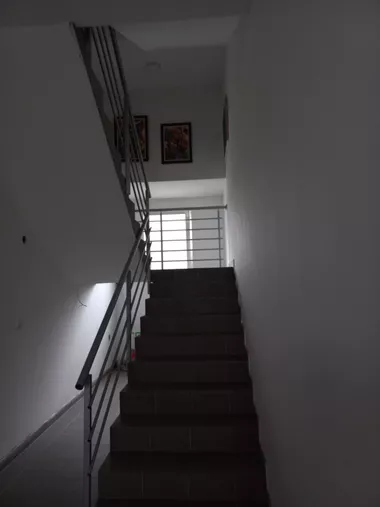 Belarička