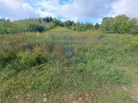 Alibegovac, Petrovaradin, Gradske lokacije, Novi Sad | 4zida.rs