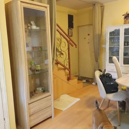 MITE STAJICA | 4zida.rs