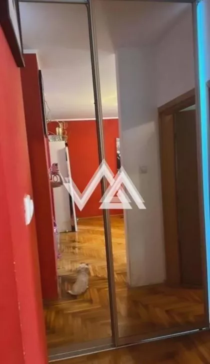 Pilota Mihaila Petrovića | 4zida.rs