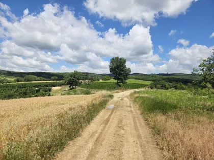 Okolne lokacije | 4zida.rs