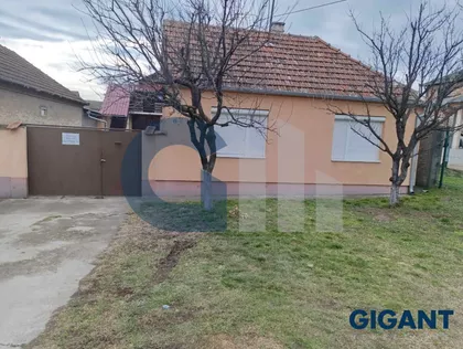 Vladimira Nazora-Ruma | 4zida.rs