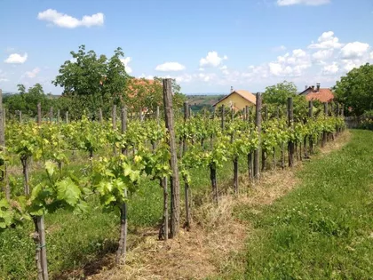 Ovsište | 4zida.rs