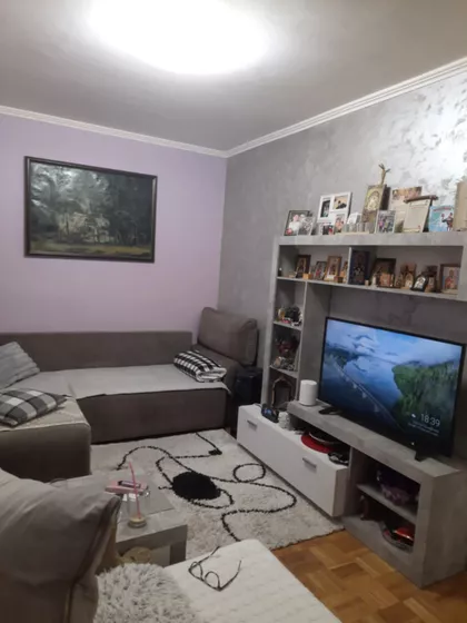 Nedeljka Gvozdenovića | 4zida.rs