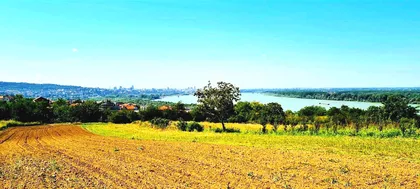 Višnjica | 4zida.rs