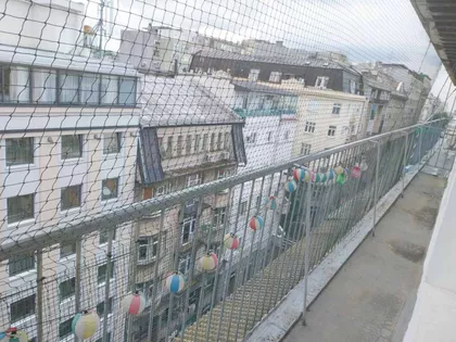 Kralja Petra | 4zida.rs