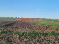 Stari Slankamen, Okolne lokacije, Inđija | 4zida.rs