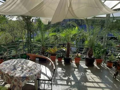 Miće Popovića | 4zida.rs