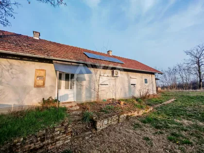 Svetozar Miletić | 4zida.rs