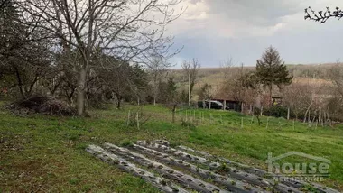 Salaksije