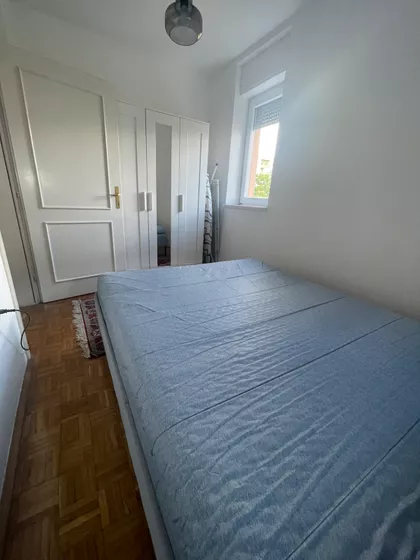 Rotkvarija | 4zida.rs