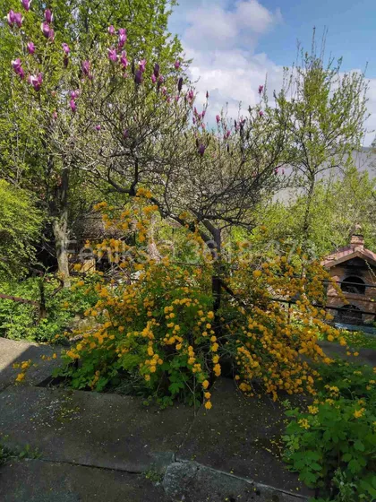 Triglavska | 4zida.rs