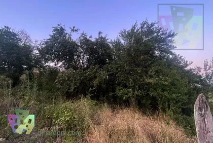 Mali Požarevac | 4zida.rs