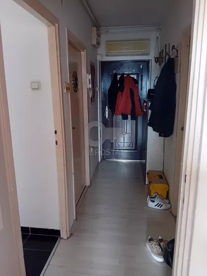 Pilota Mihaila Petrovića | 4zida.rs