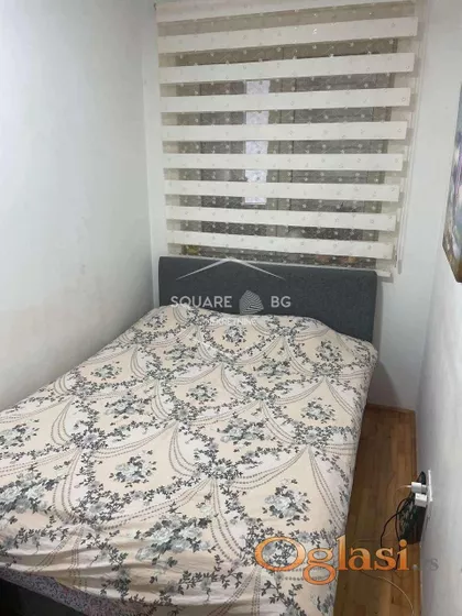 Hrizantema | 4zida.rs