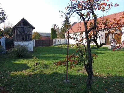 Mošorin | 4zida.rs